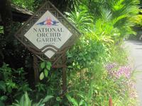 National Orchid Garden