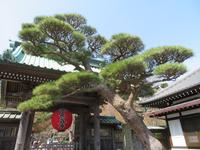 Hasedera Tempel