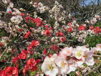Japanischer Garten