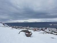 Hurtigrute, Hammerfest