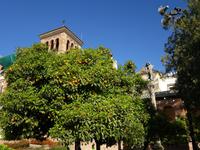 Spaziergang durch den Maria Luisa Park zum Plaza España in Sevilla