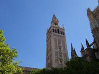  Kathedrale Santa Maria de la Sede mit ihrem bekannten Glockenturm Giralda in Sevilla (7)