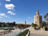  Kathedrale Santa Maria de la Sede mit ihrem bekannten Glockenturm Giralda in Sevilla (9)