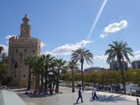 Torre del Oro in Sevilla (7)