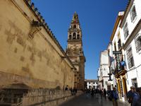 Die berühmte Mezquita, die maurische Moschee der Stadt in Cordoba (11)
