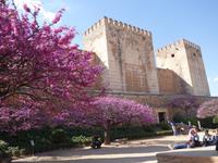 Besichtigung der Alhambra, die Mauren-Hochburg in Granada (13)