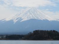 Fuji san