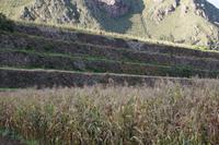 Terrassen bei Urco, Valle Sagrado (Heiliges Tal)