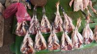 Morning Markt Luang Prabang