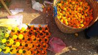 Morning Markt Luang Prabang