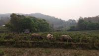 Unterwegs in Laos