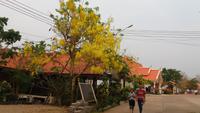 Phu Salao, Golden Buddha