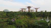 Singapur