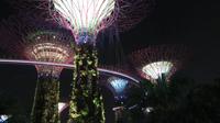 Singapur