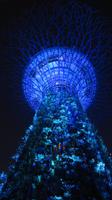 Singapur