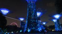 Singapur