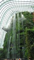 Flower Dome