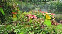 Flower Dome