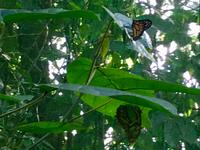 spiegeln ohne Spiegel