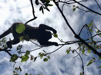 bitte nicht poopen ! 