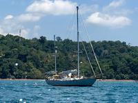 das Segelschiff