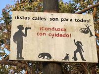 Strassenbenuetzer in Drake Bay