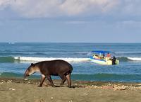 stoert mich ja nicht....