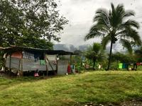 Haus im Nebelwald auf dem Weg in die Karibik