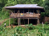 bei der Kakaoplantage