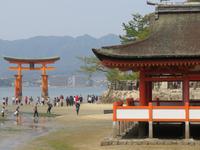Insel Miyajima