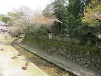 Insel Miyajima