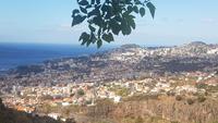 Blick auf Funchal