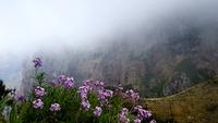 Gipfelwanderung