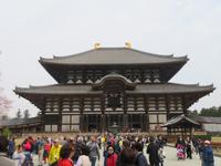 Nara todaji-Schrein