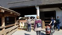 Gut Aiderbichl 20190330 143208