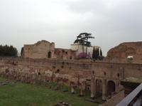 auf dem Palatinhügel