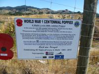 Goldgräberstadt Waihi