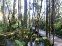 Auf dem Weg nach Wanaka - Ship Creek Bay