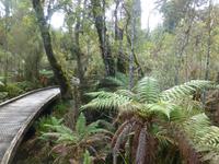 Auf dem Weg nach Wanaka - Ship Creek Bay