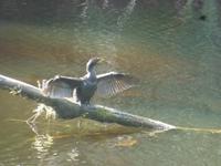 Auf dem Weg nach Wanaka - Ship Creek Bay