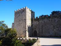 Erice