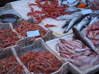 Catania: Fischmarkt