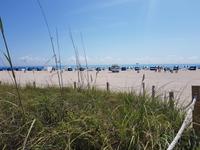 Miami Beach