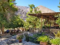 die Destlería Pisco Mistral 