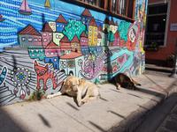 Valparaíso