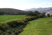 Swartberg Country Manor (2)
