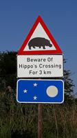 Achtung Hippos