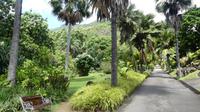 Botanischer Garten auf Mahe