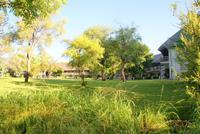 A'Zambezi River Lodge. (10)