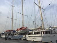 Star Clipper - erster Blick auf